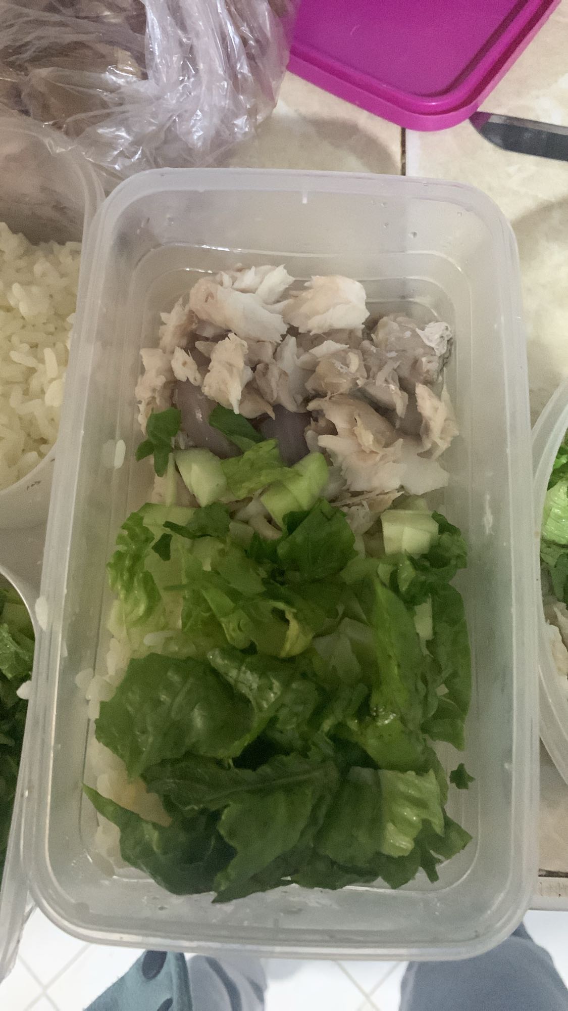 Salade de poisson et riz