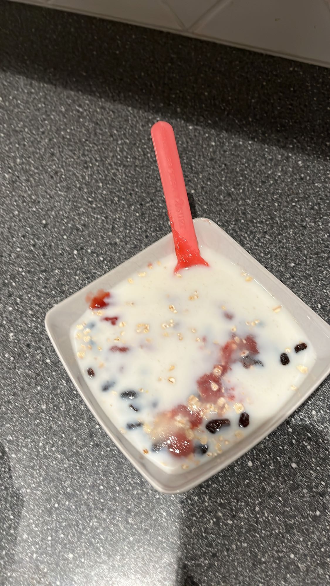 Berry Oatmeal with Milk