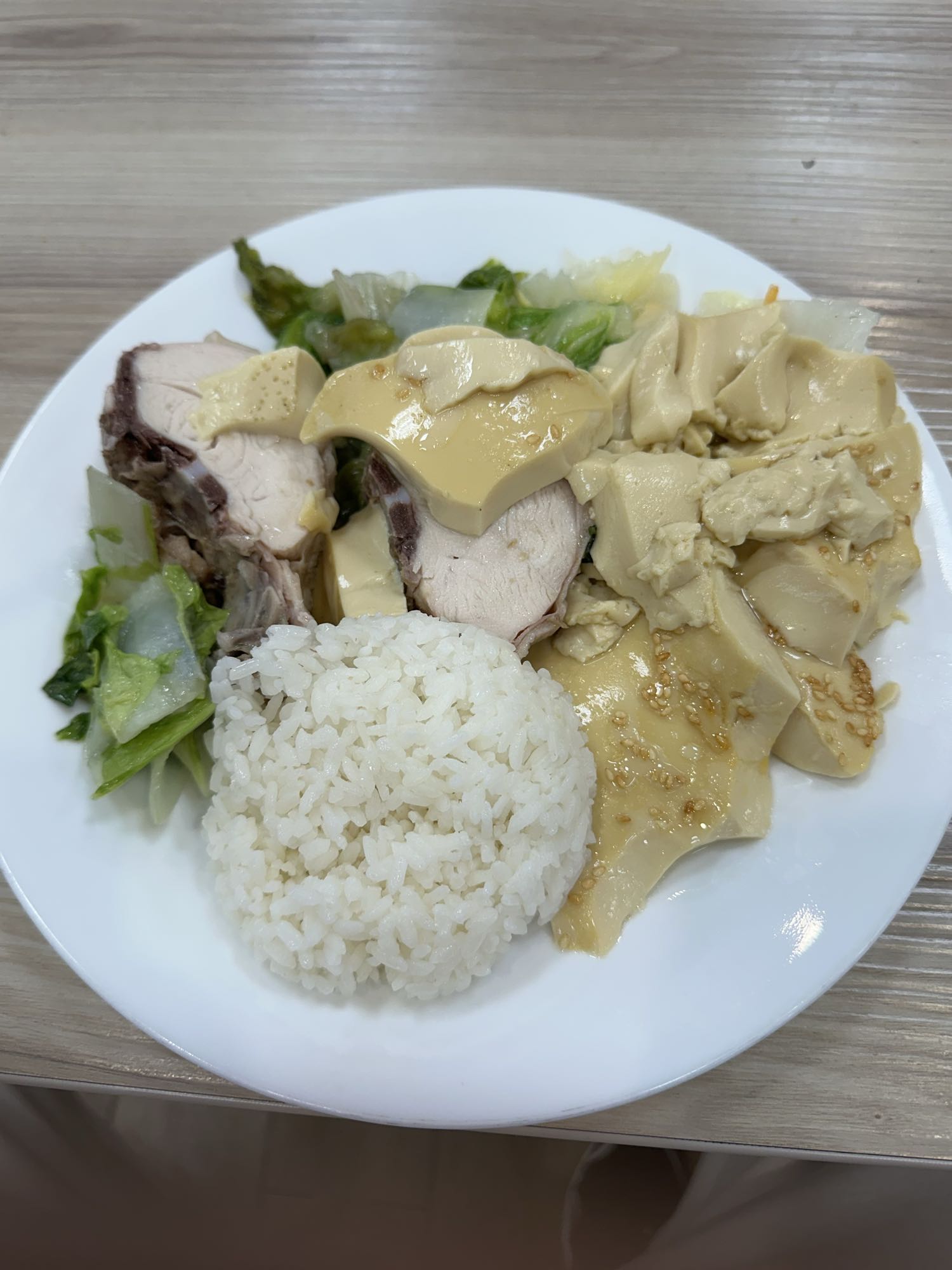 Tofu Chicken Rice