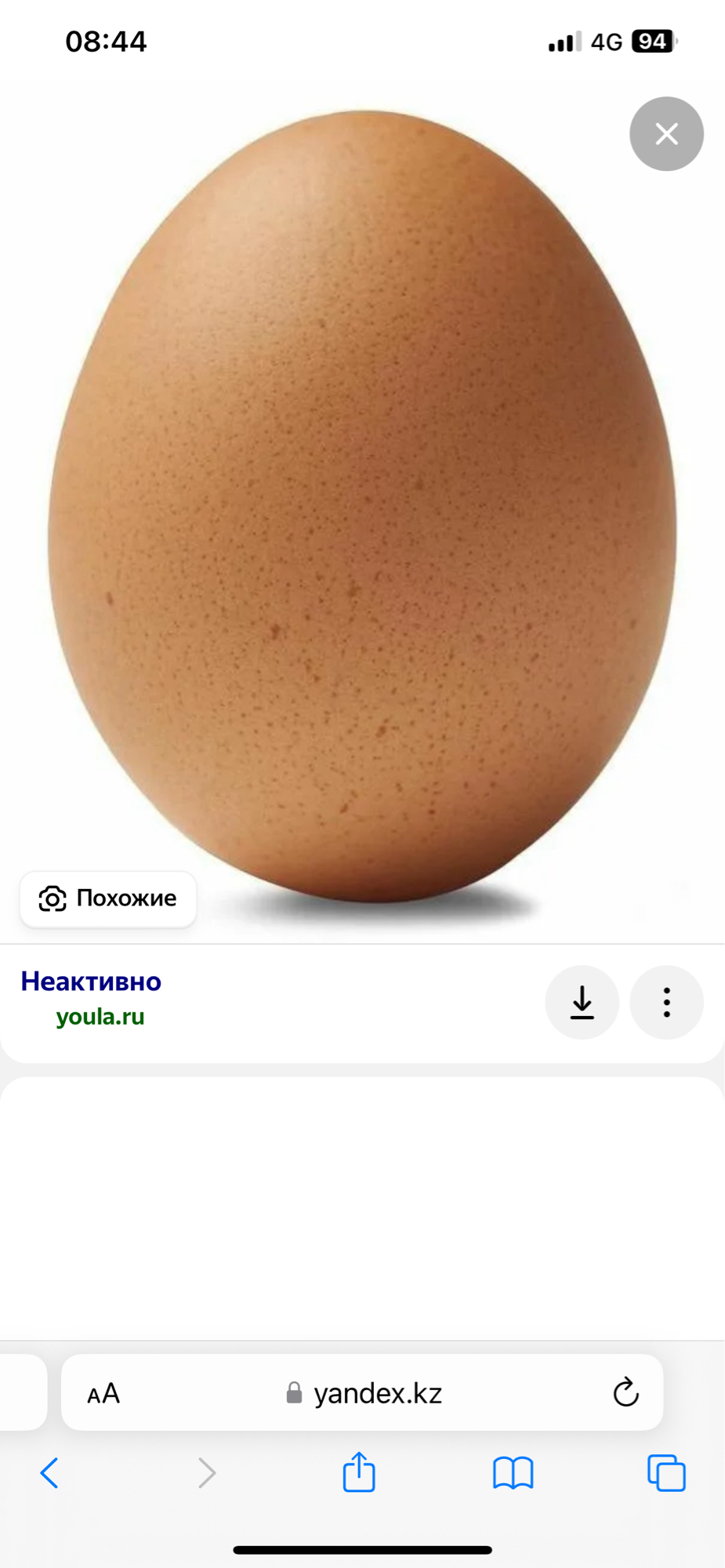 Куриное яйцо