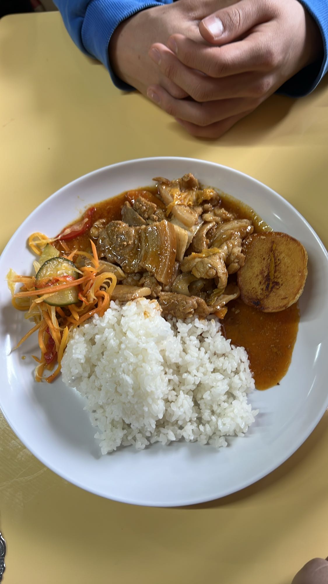 Rice with Braised Pork
