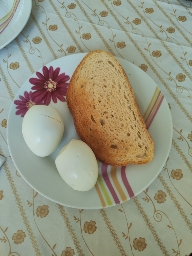 Boiled Eggs with Toast