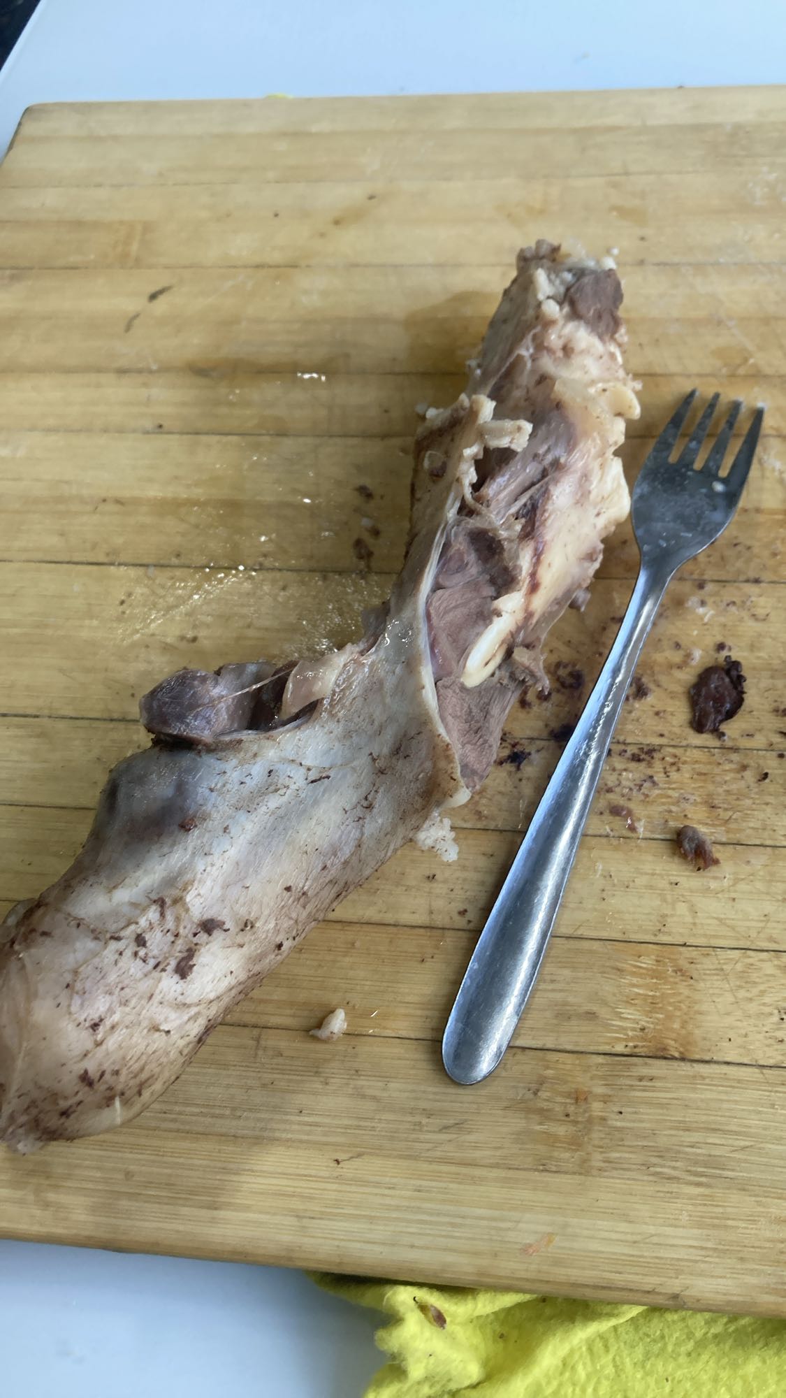 Boiled Meat Bone