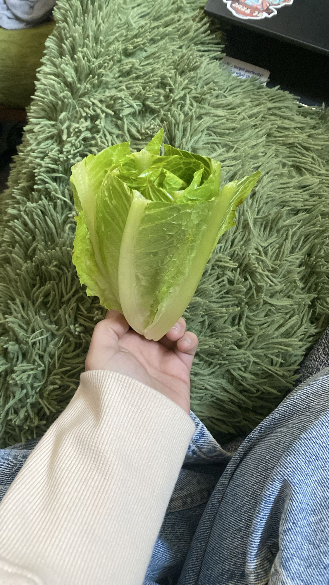 Romaine Lettuce