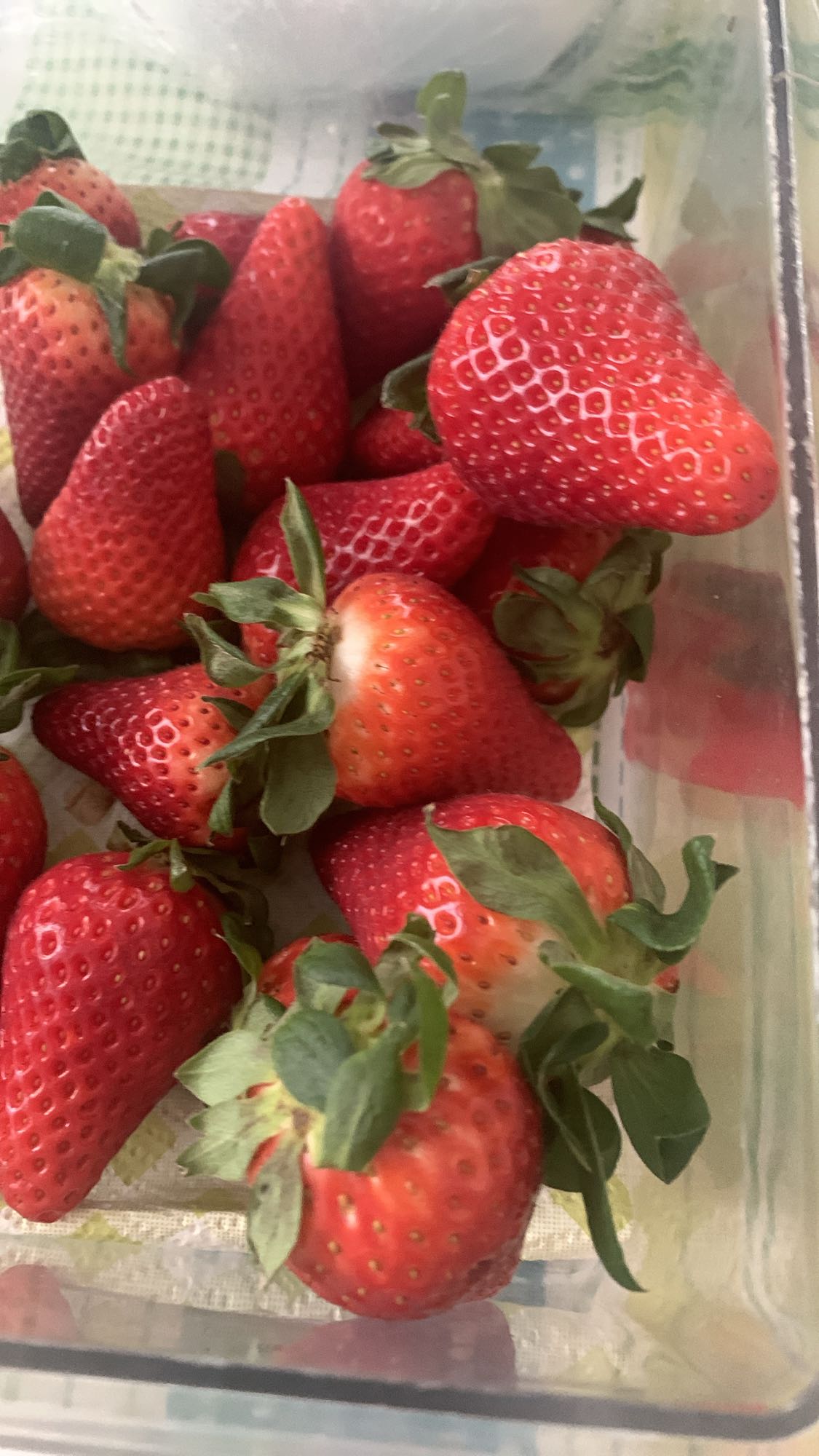 Fresh Strawberries