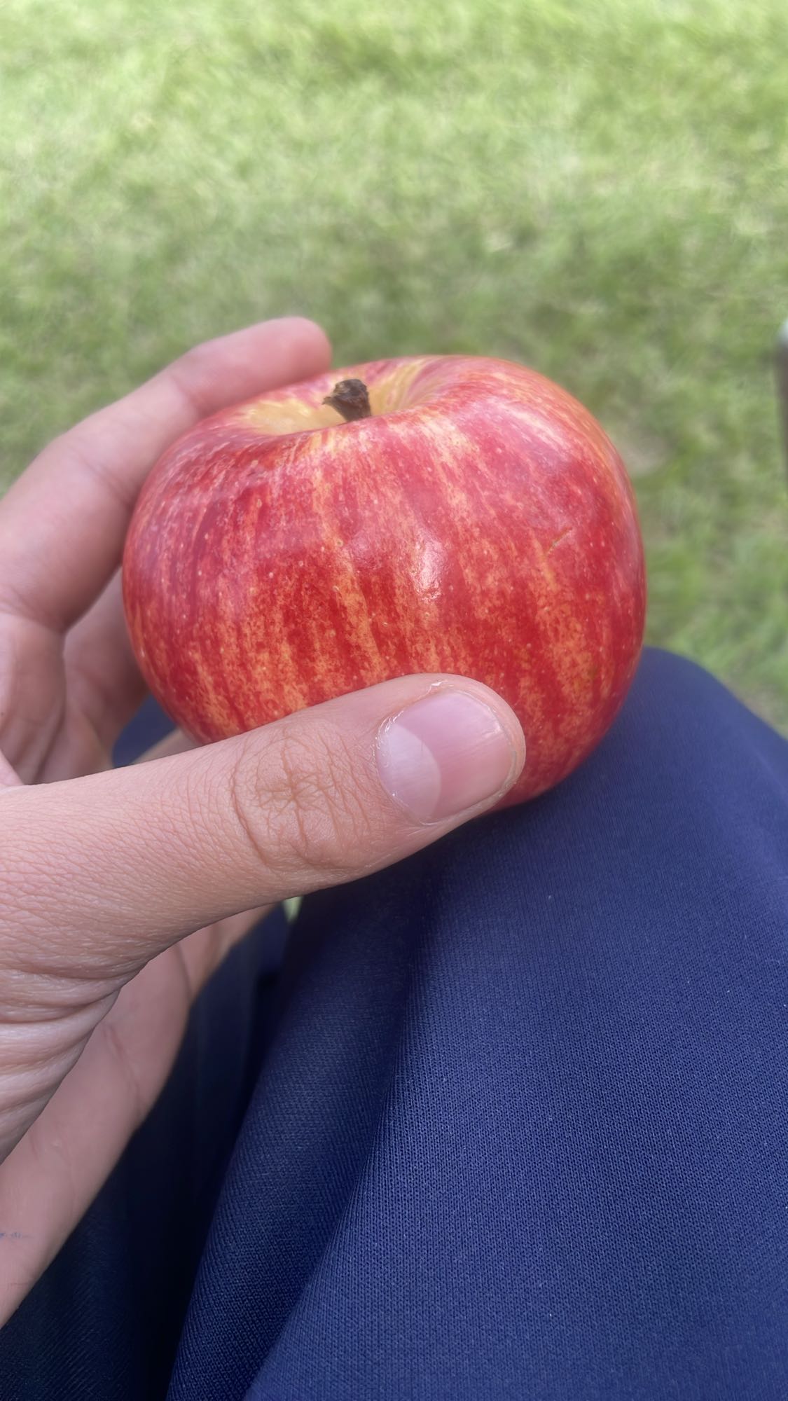 Manzana roja