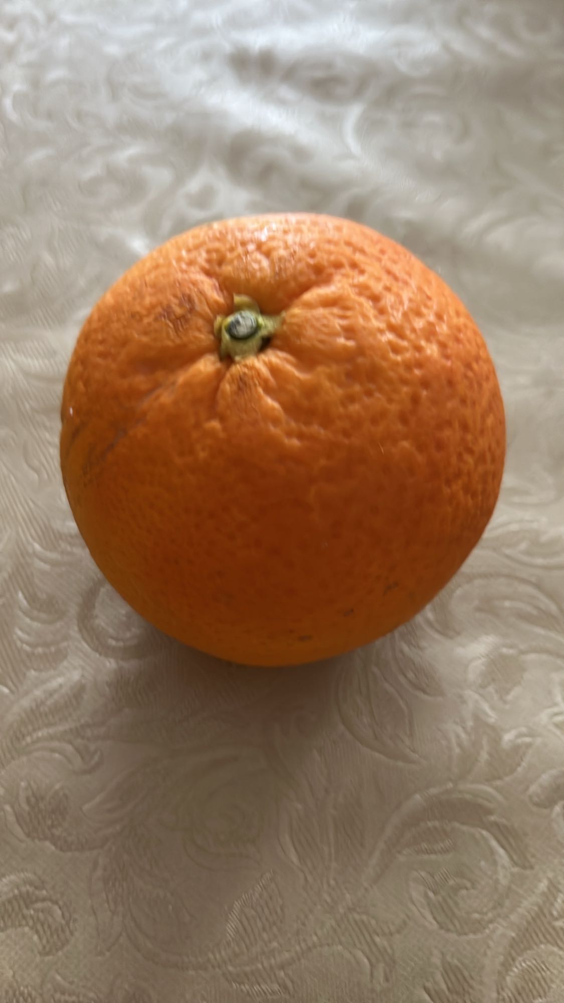 Fresh Orange