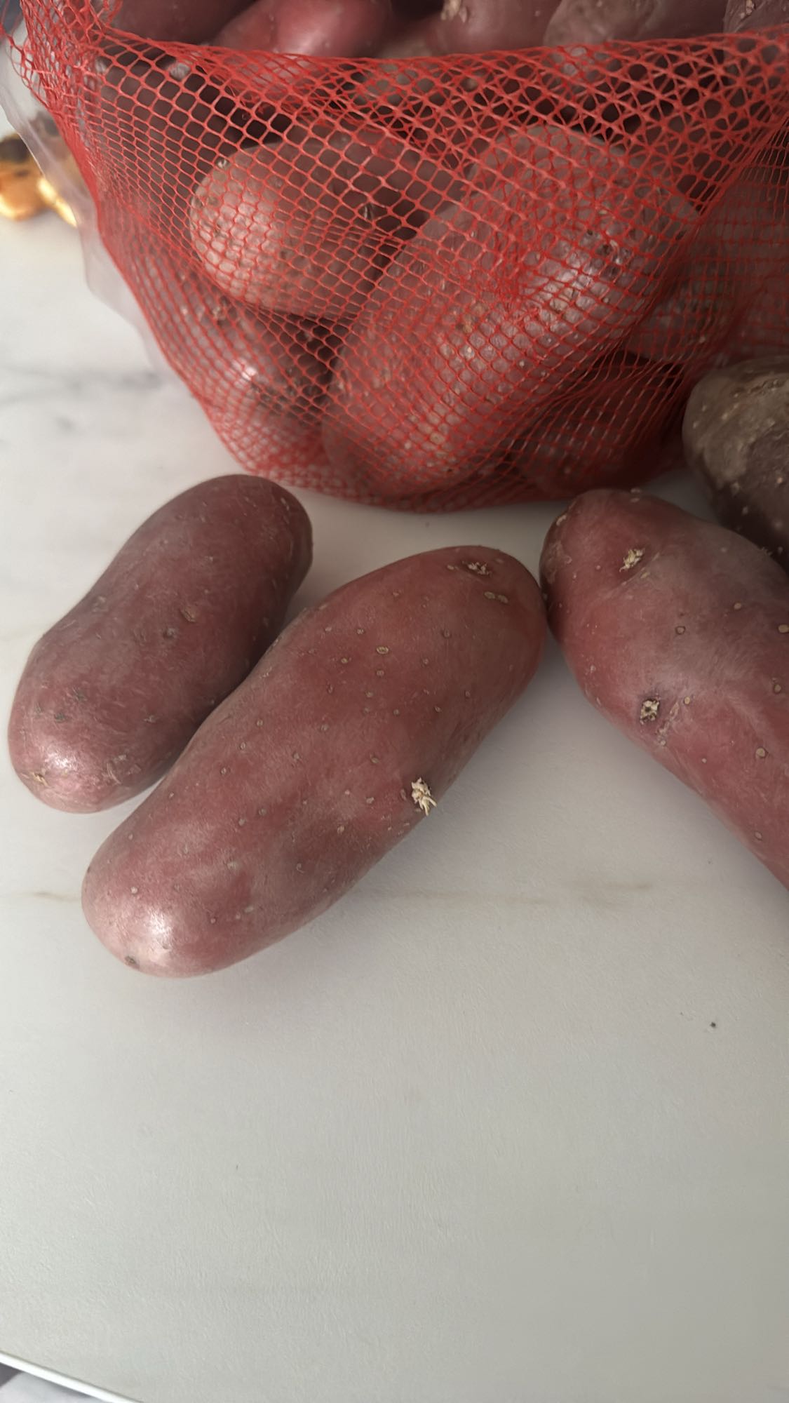 Pommes de terre rouges