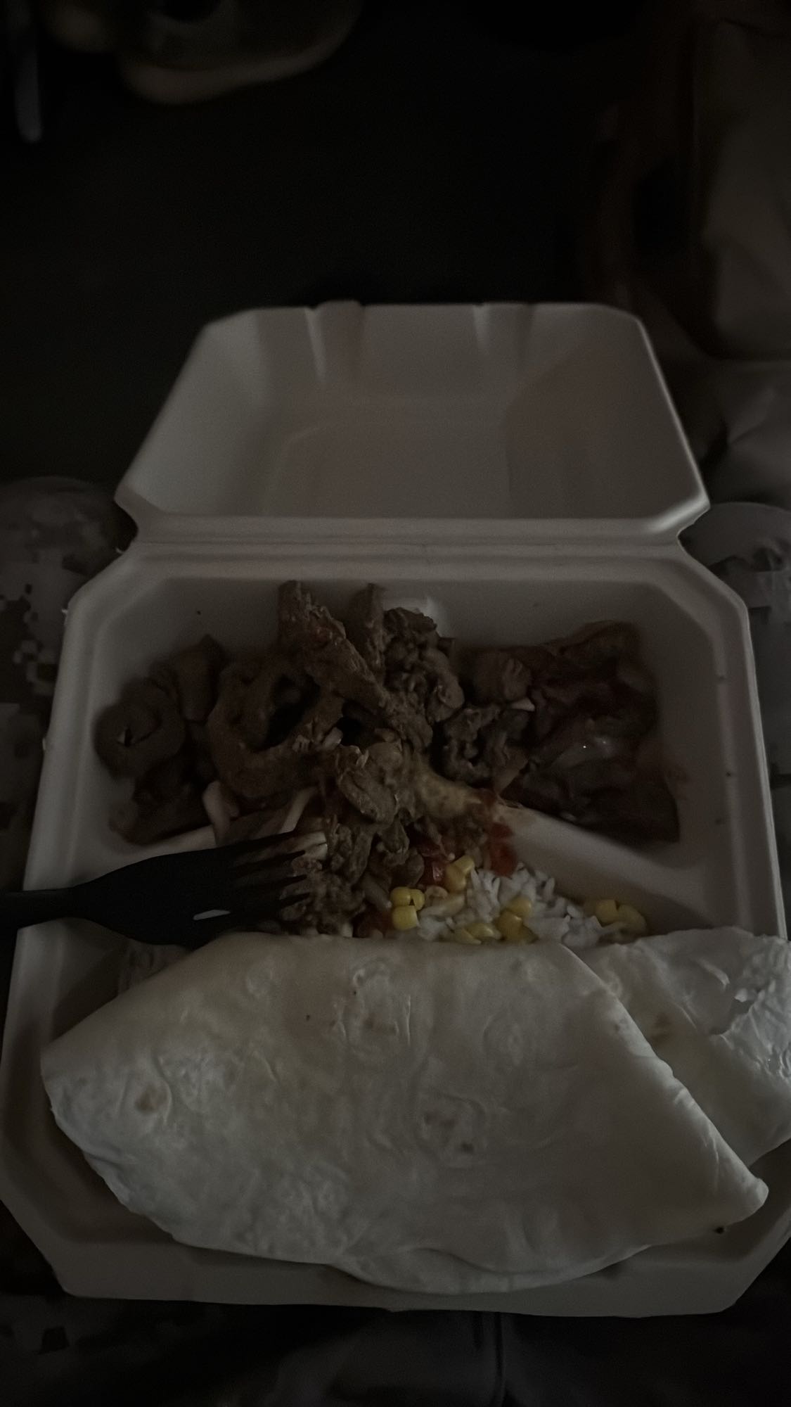 Beef and Rice Burrito