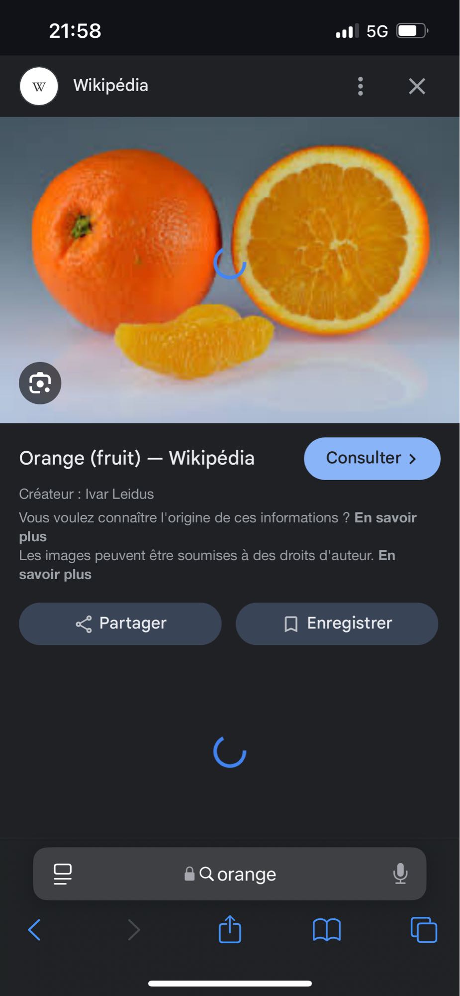 Orange fraîche