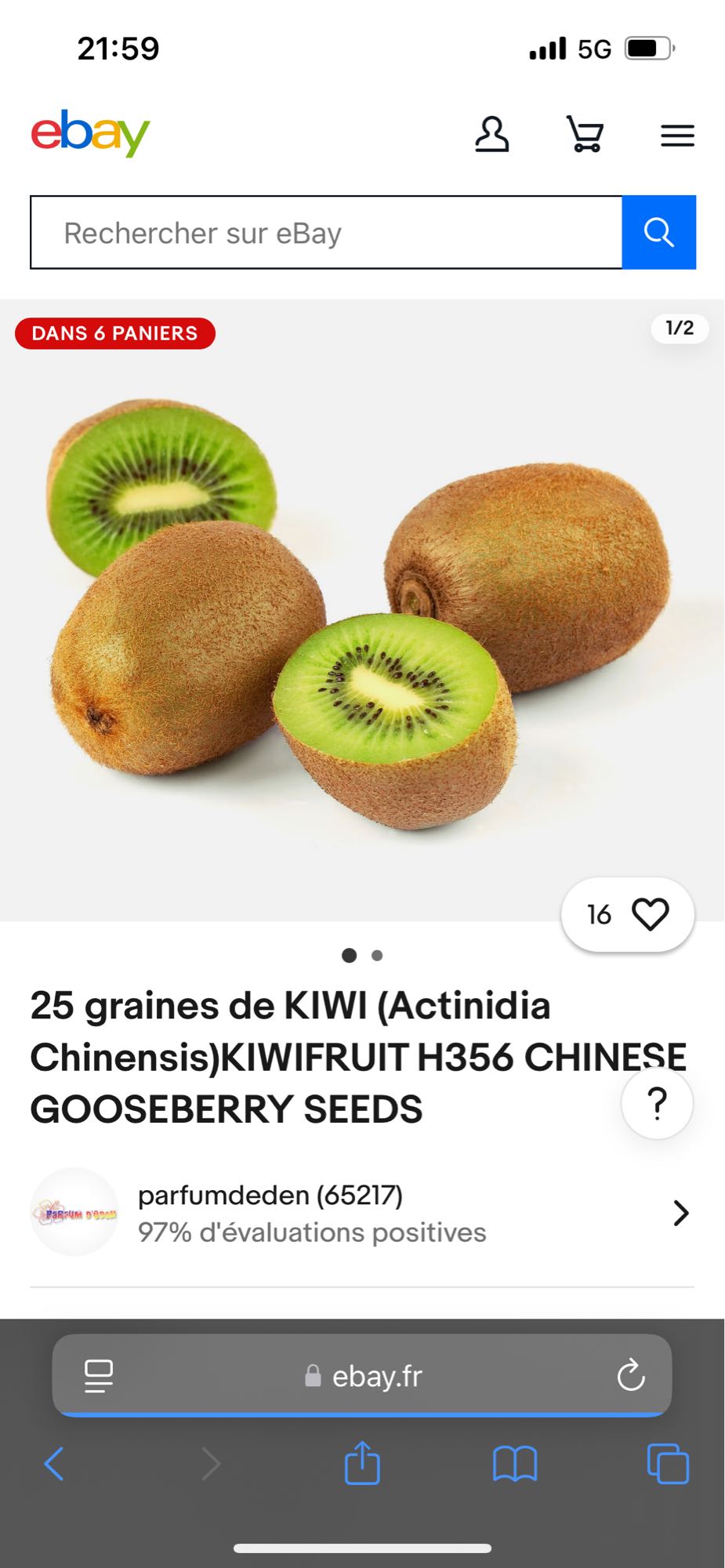 Kiwi frais