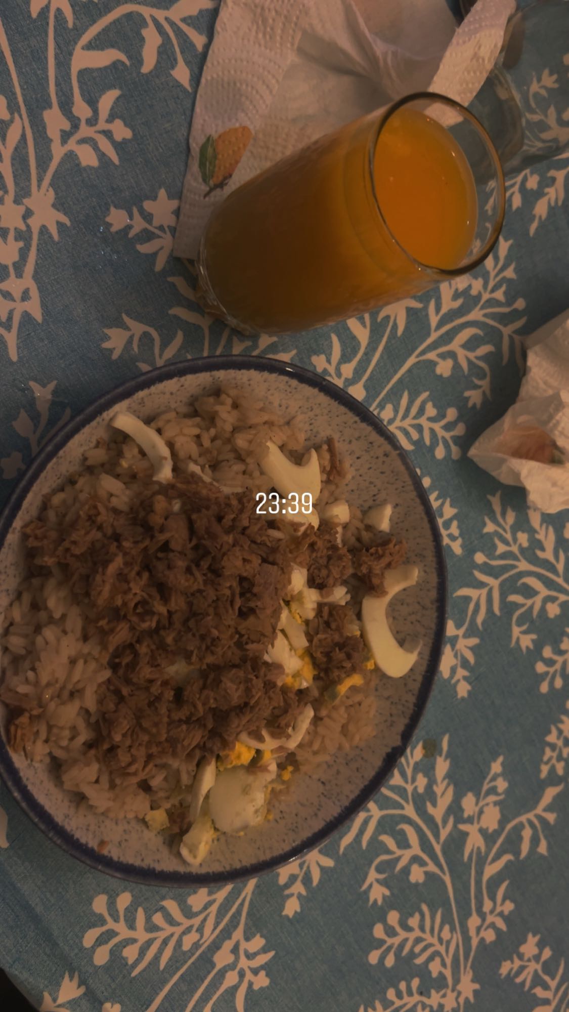 Rice with Tuna and Egg