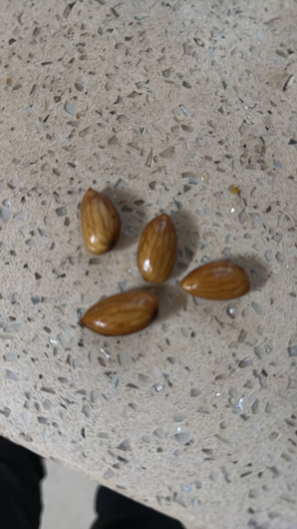 Soaked Almonds