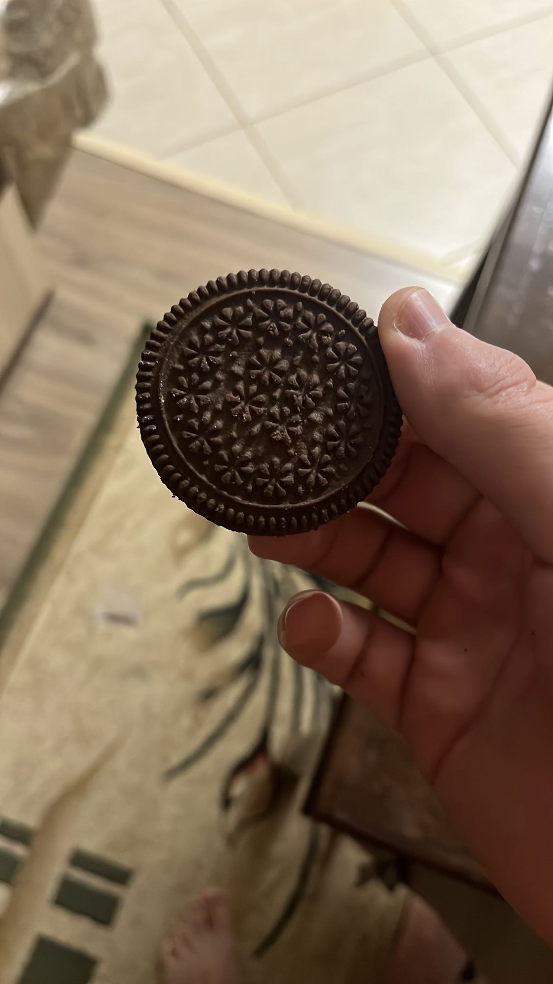 Шоколадное печенье