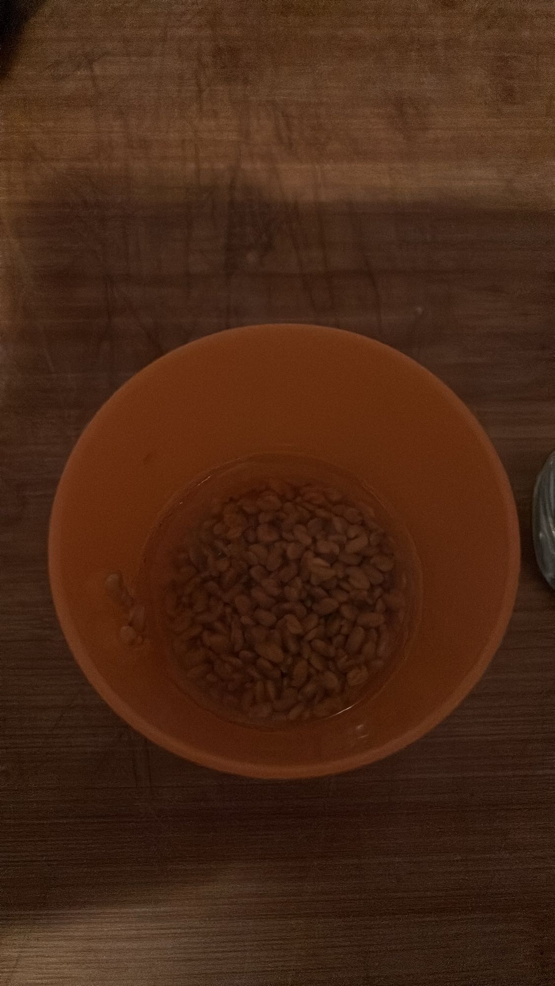 Eingeweichte Sojabohnen