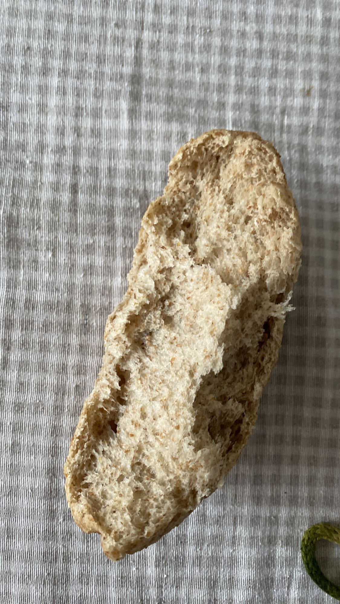 Whole Wheat Bread