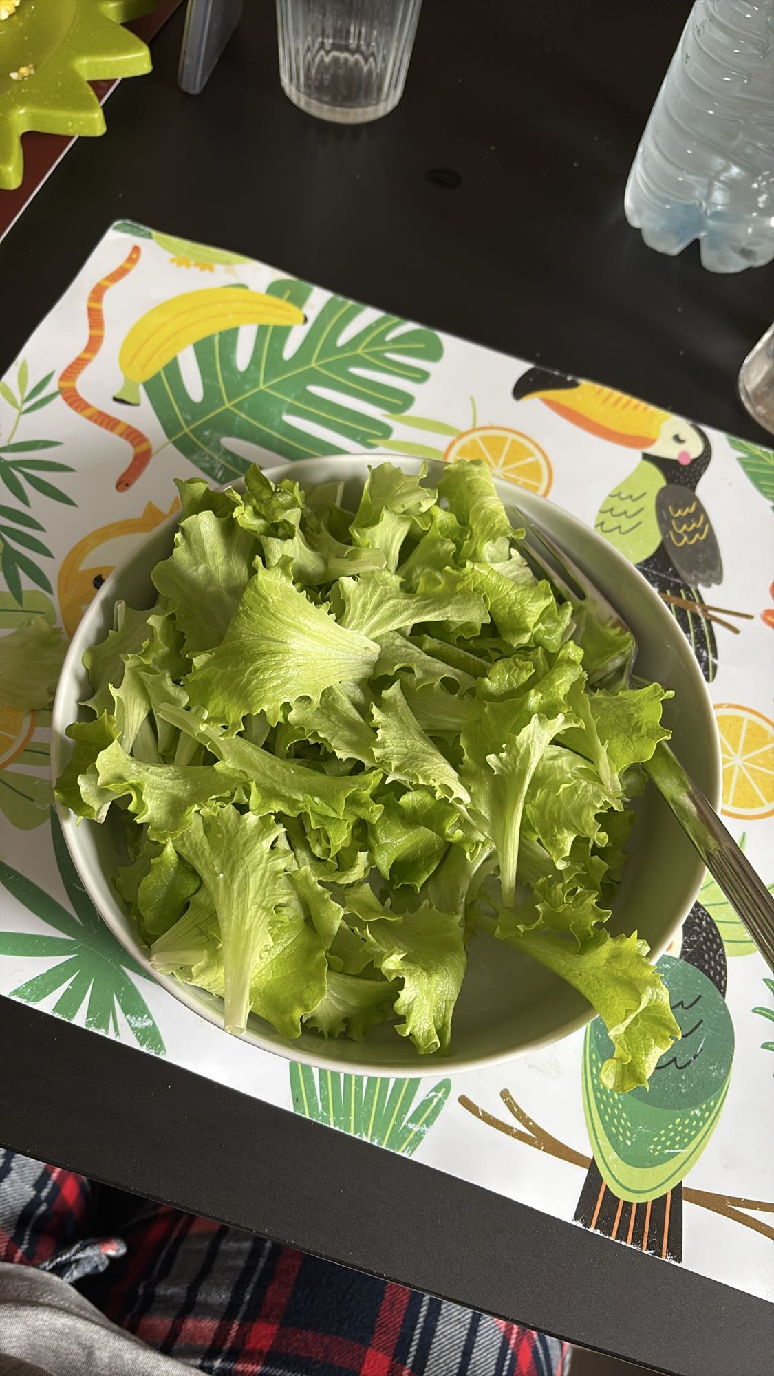 Fresh Green Salad