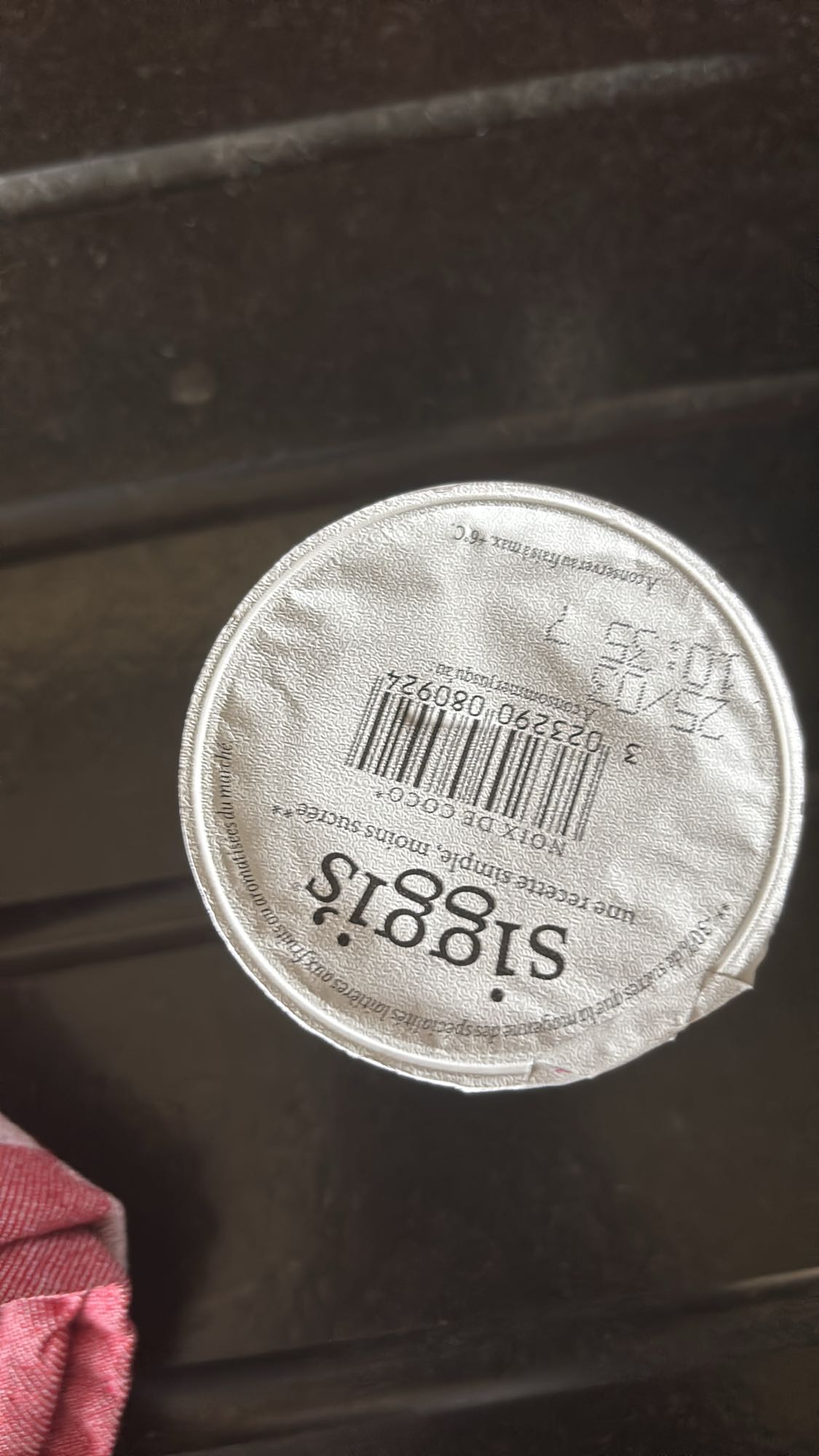 Yaourt islandais nature