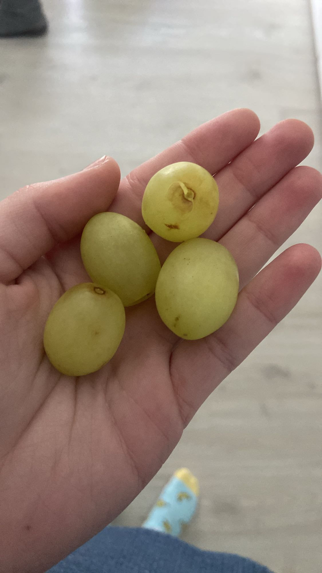 Uvas verdes