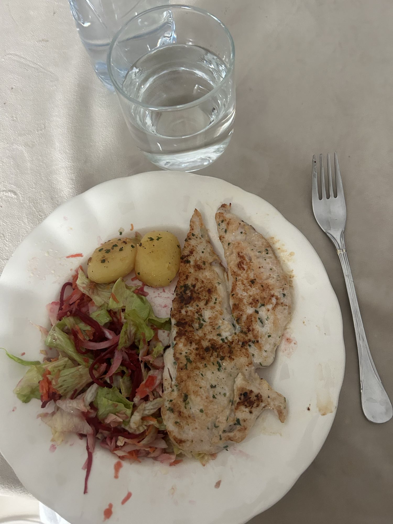 Pechuga de pollo con ensalada