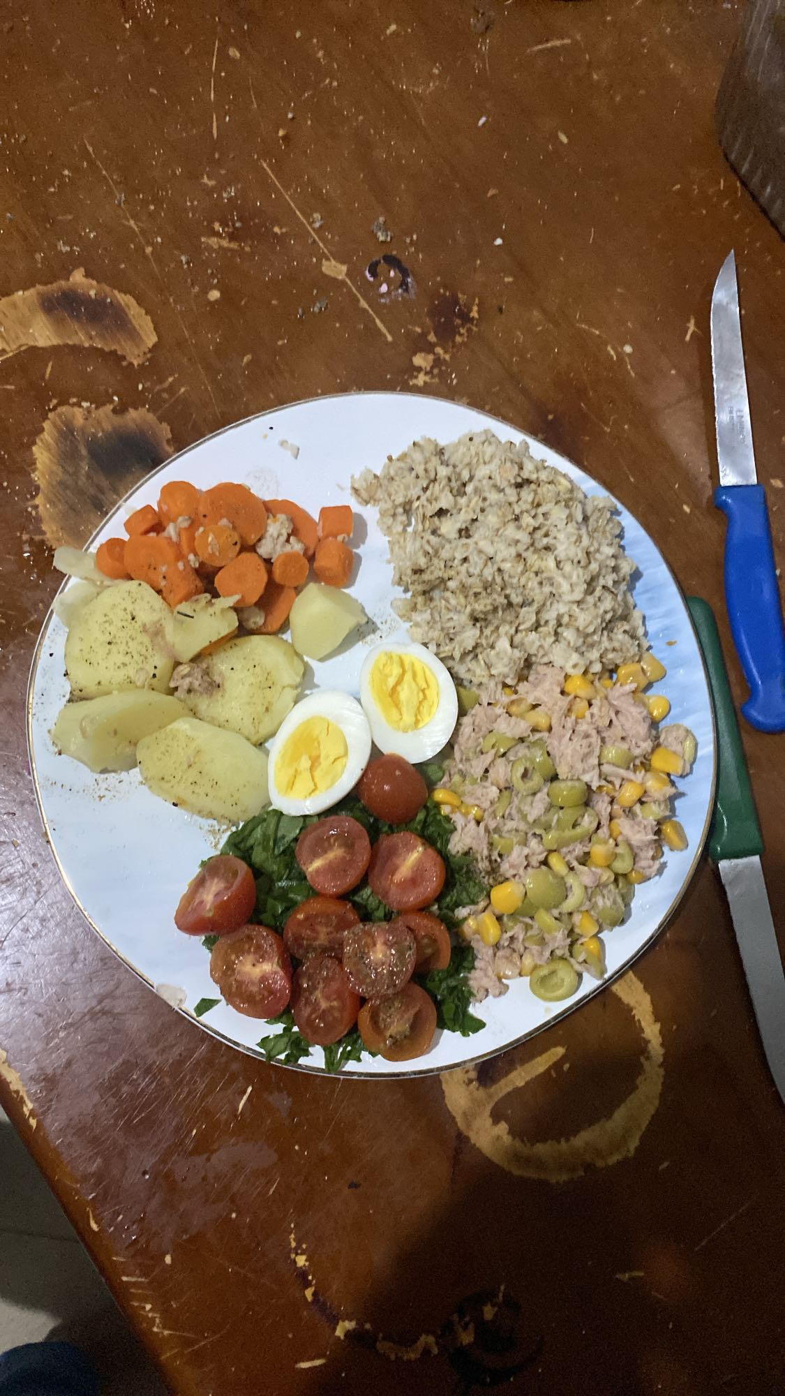 Balanced Protein Meal