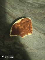 Peanut Butter Rice Cake