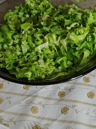 Fresh Green Salad