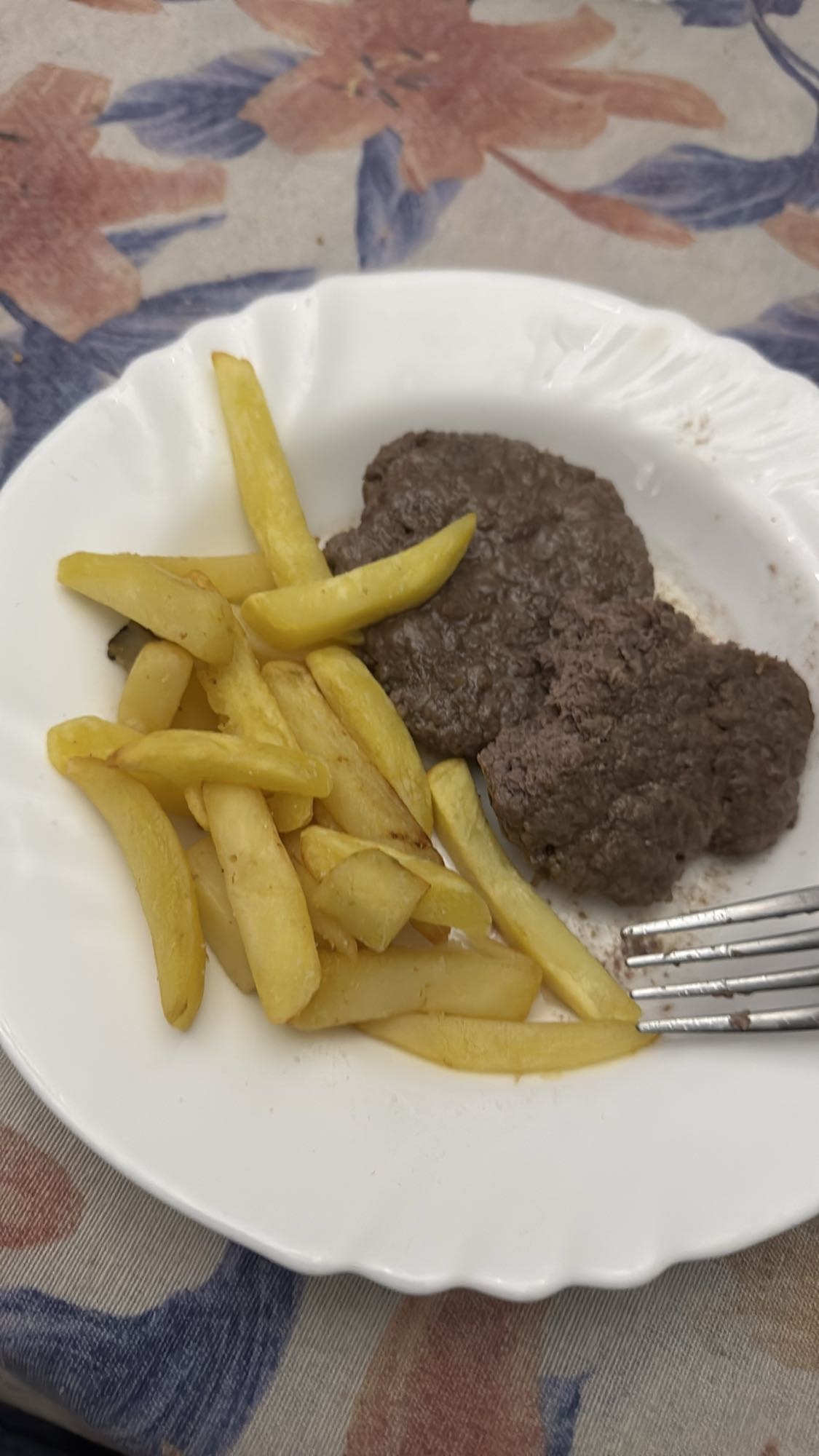 Beef Patties with Fries