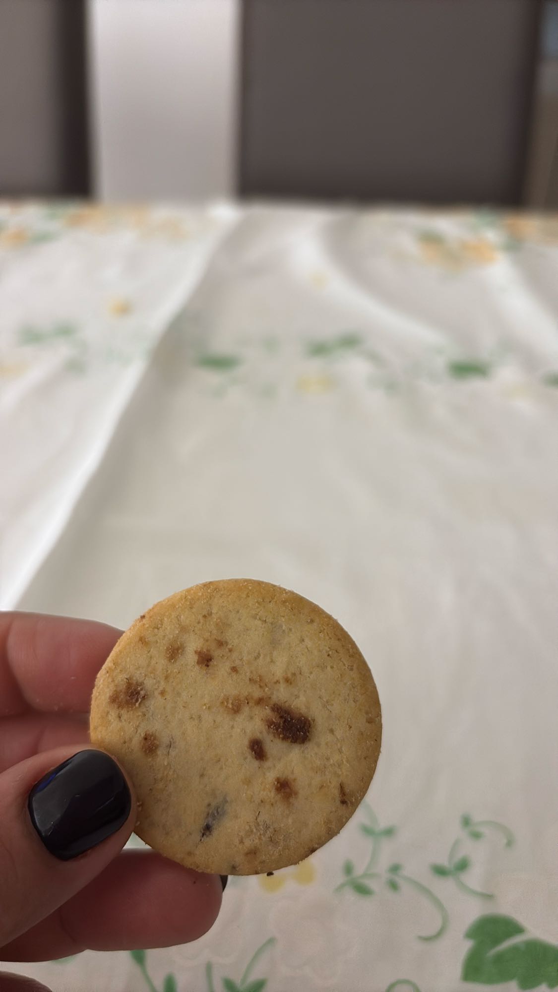 Chocolate Chip Cookie