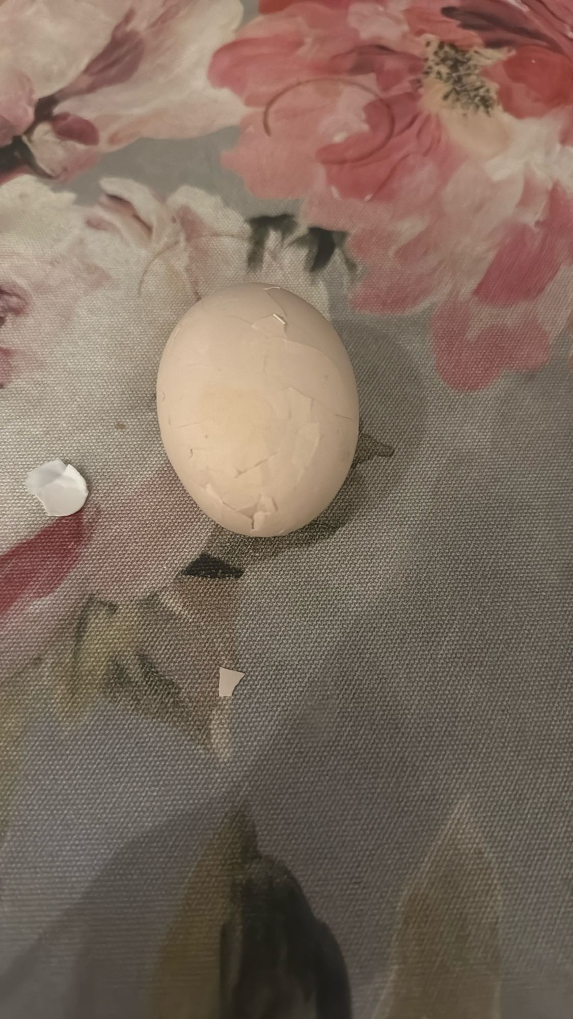 Вареное яйцо