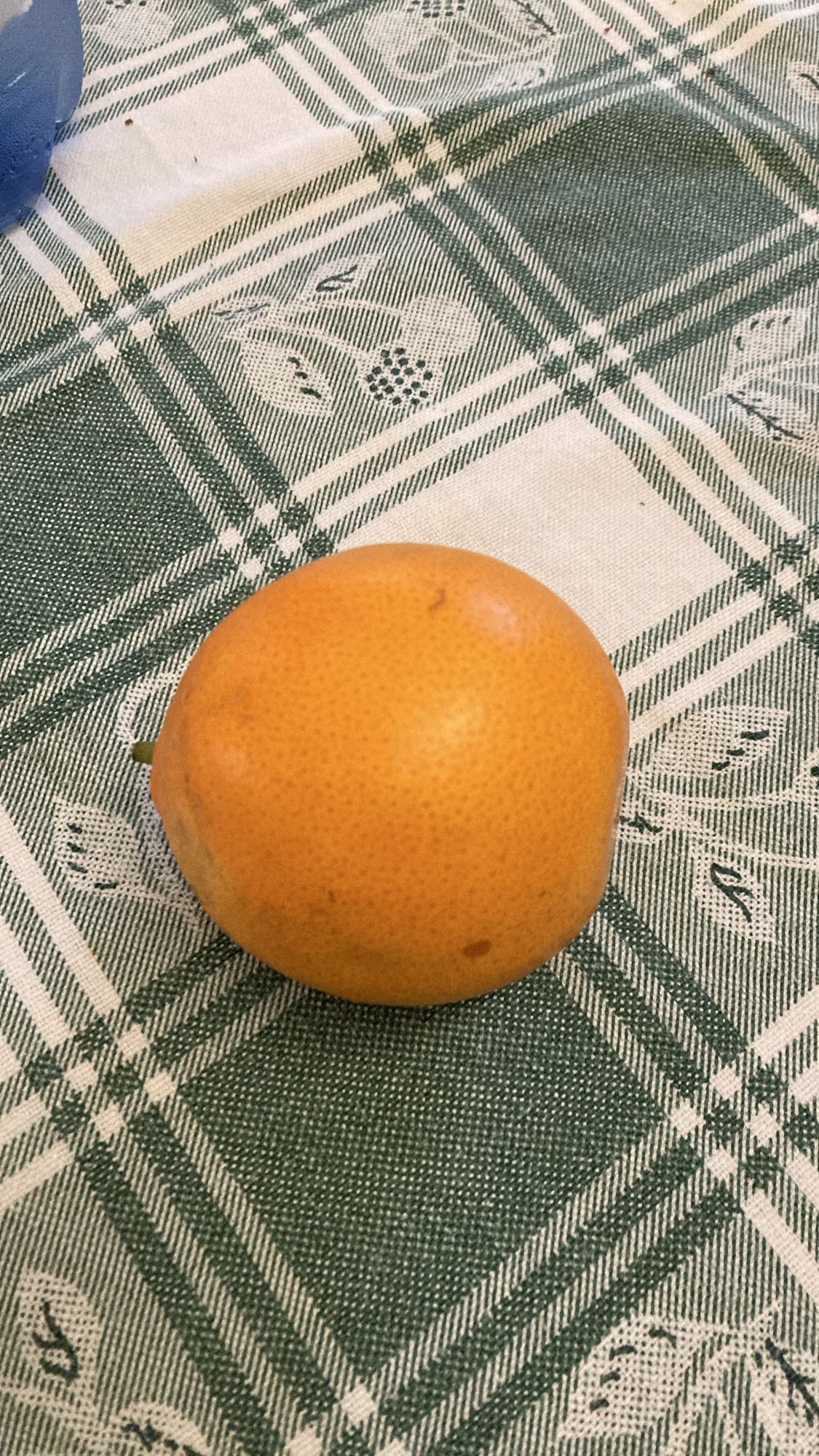 Fresh Orange