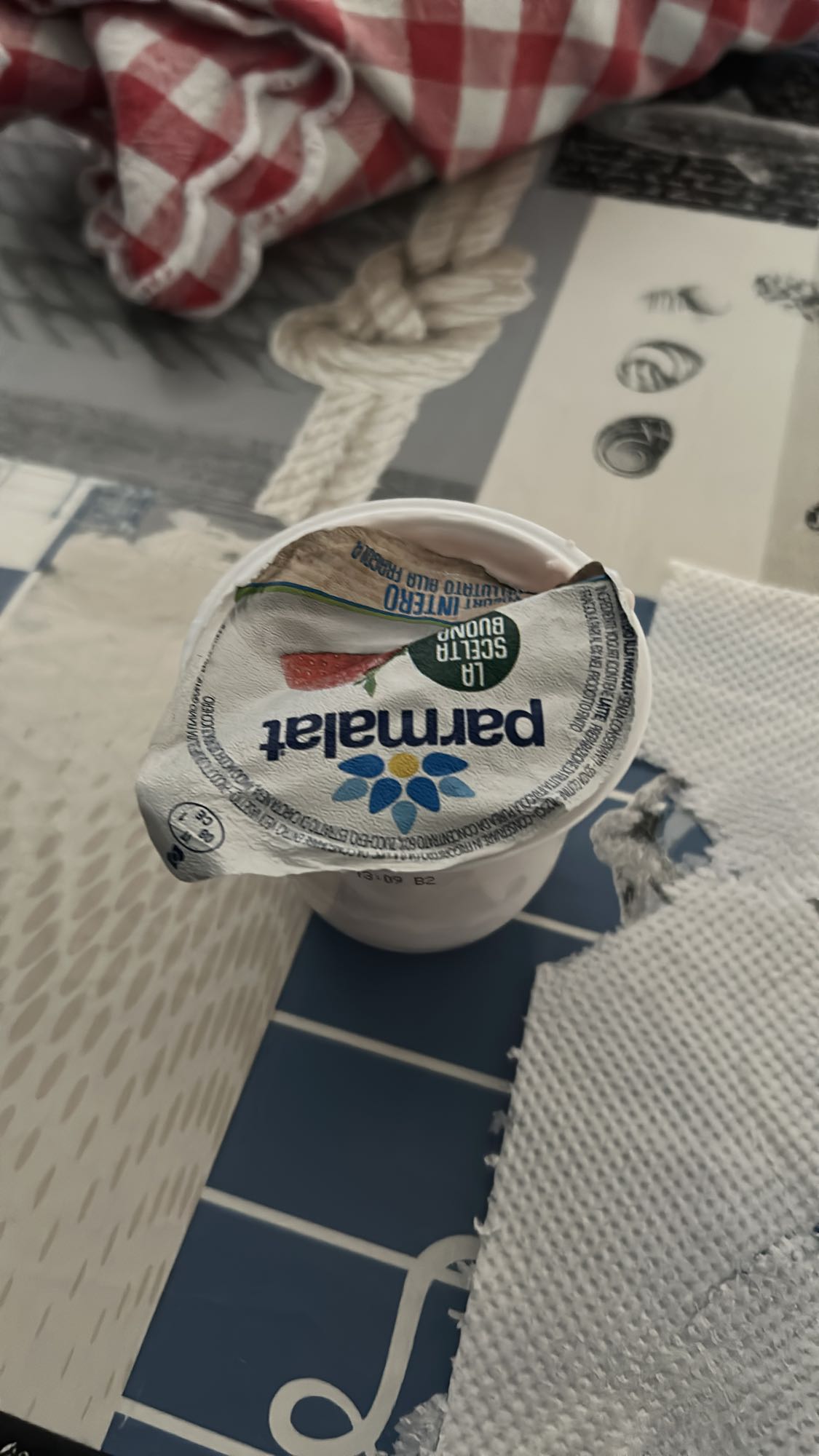 Parmalat Yogurt