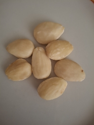 Blanched Almonds