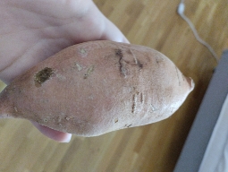 Sweet Potato