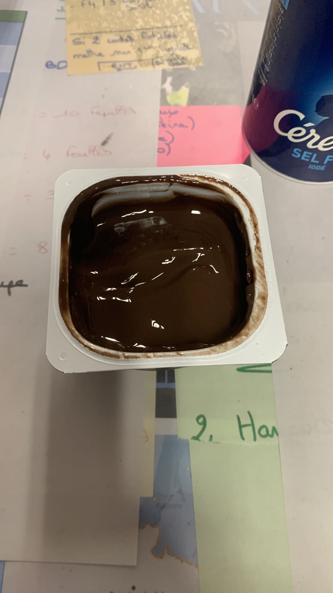 Crème dessert chocolat