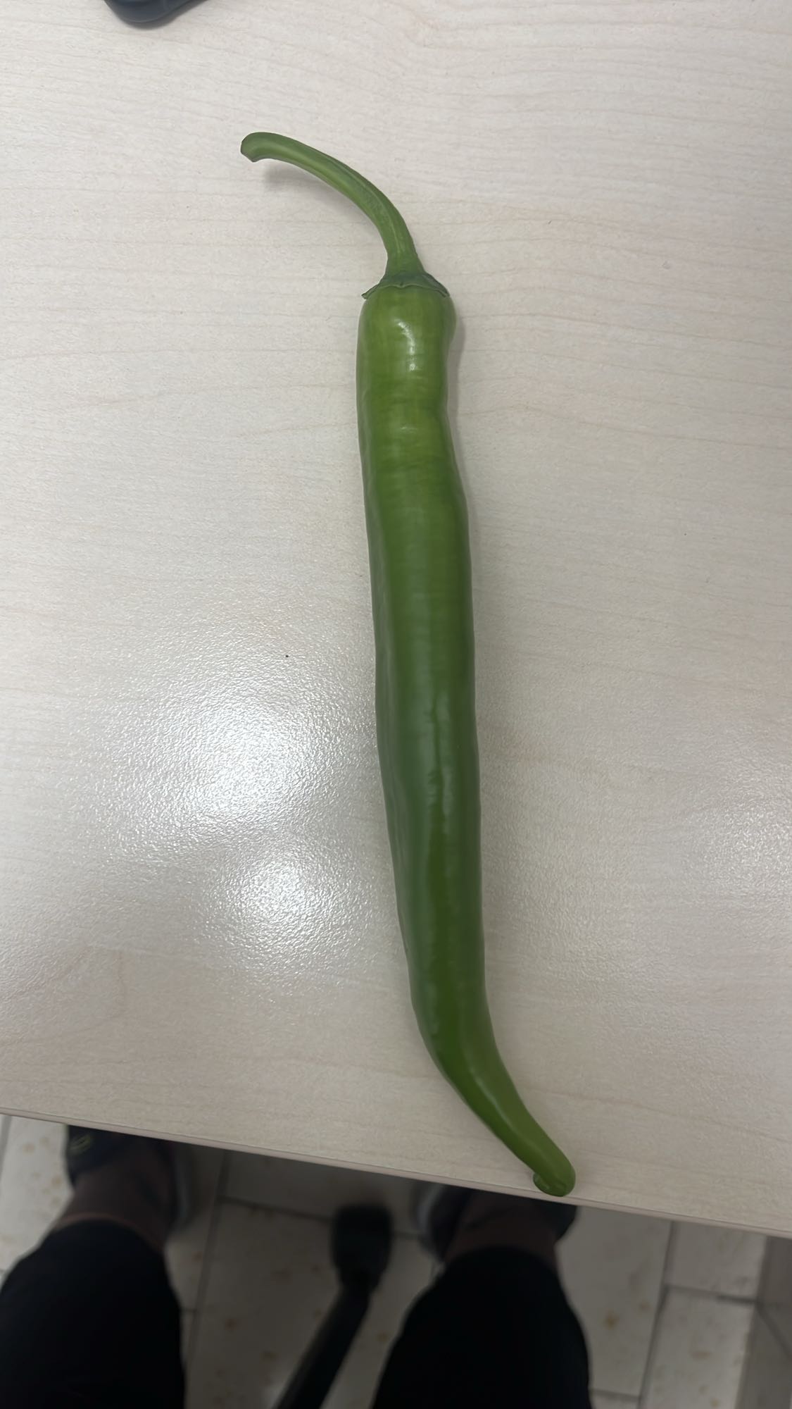 Zelena čili paprika