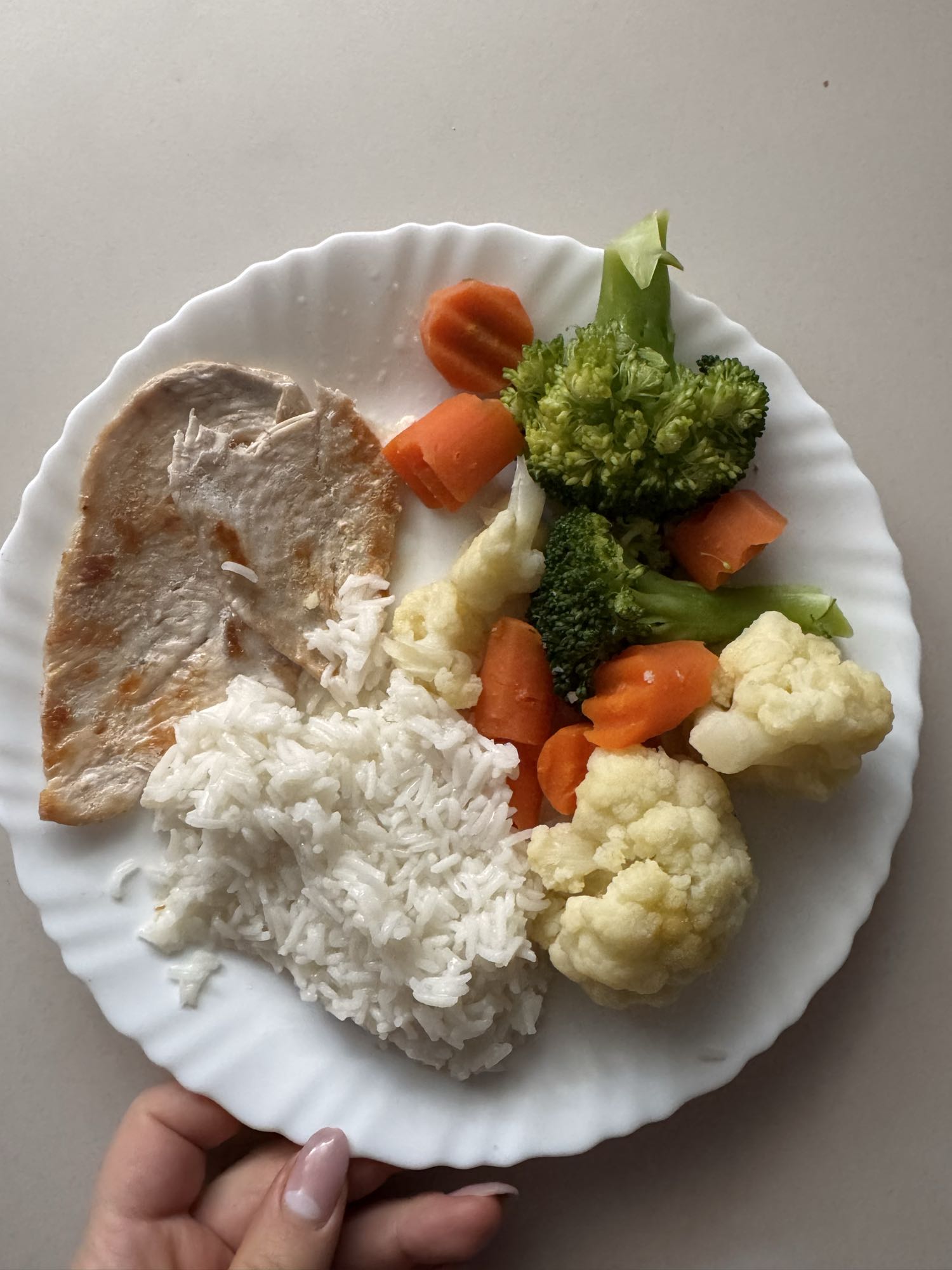 Pollo con arroz y verduras