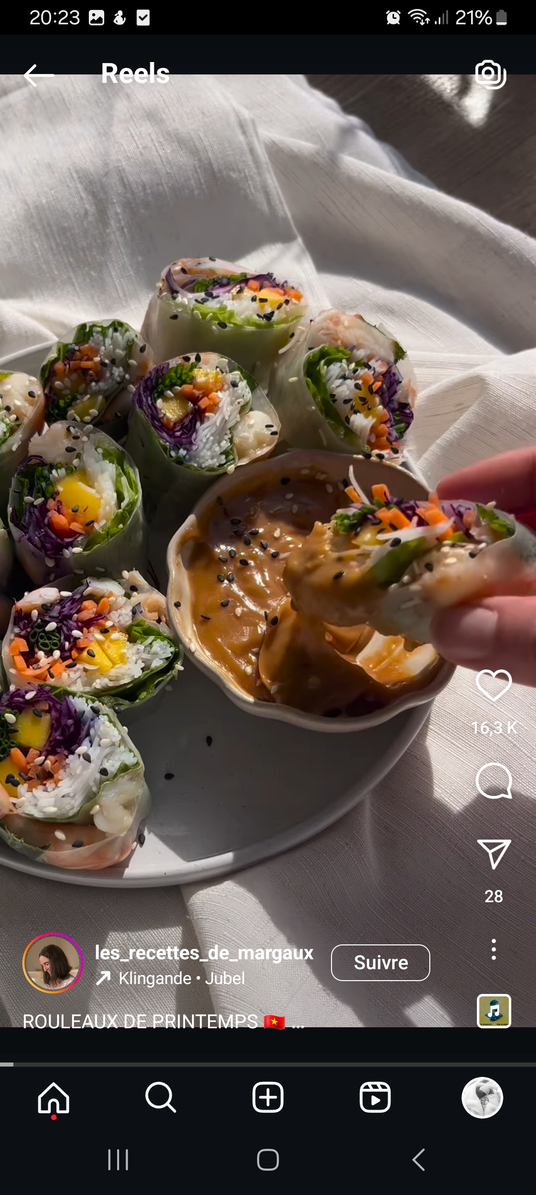 Rouleaux de printemps