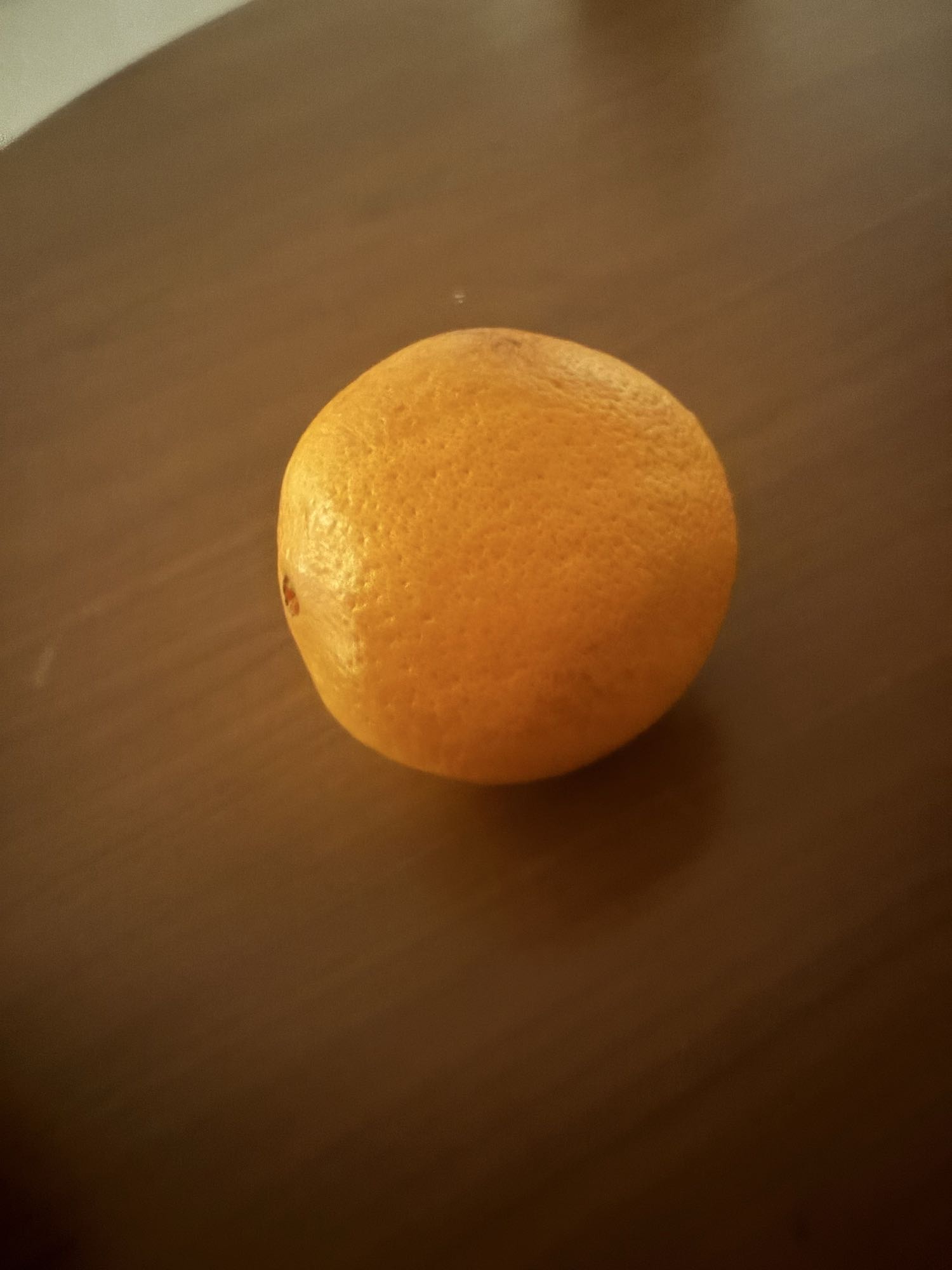 Orange fraîche