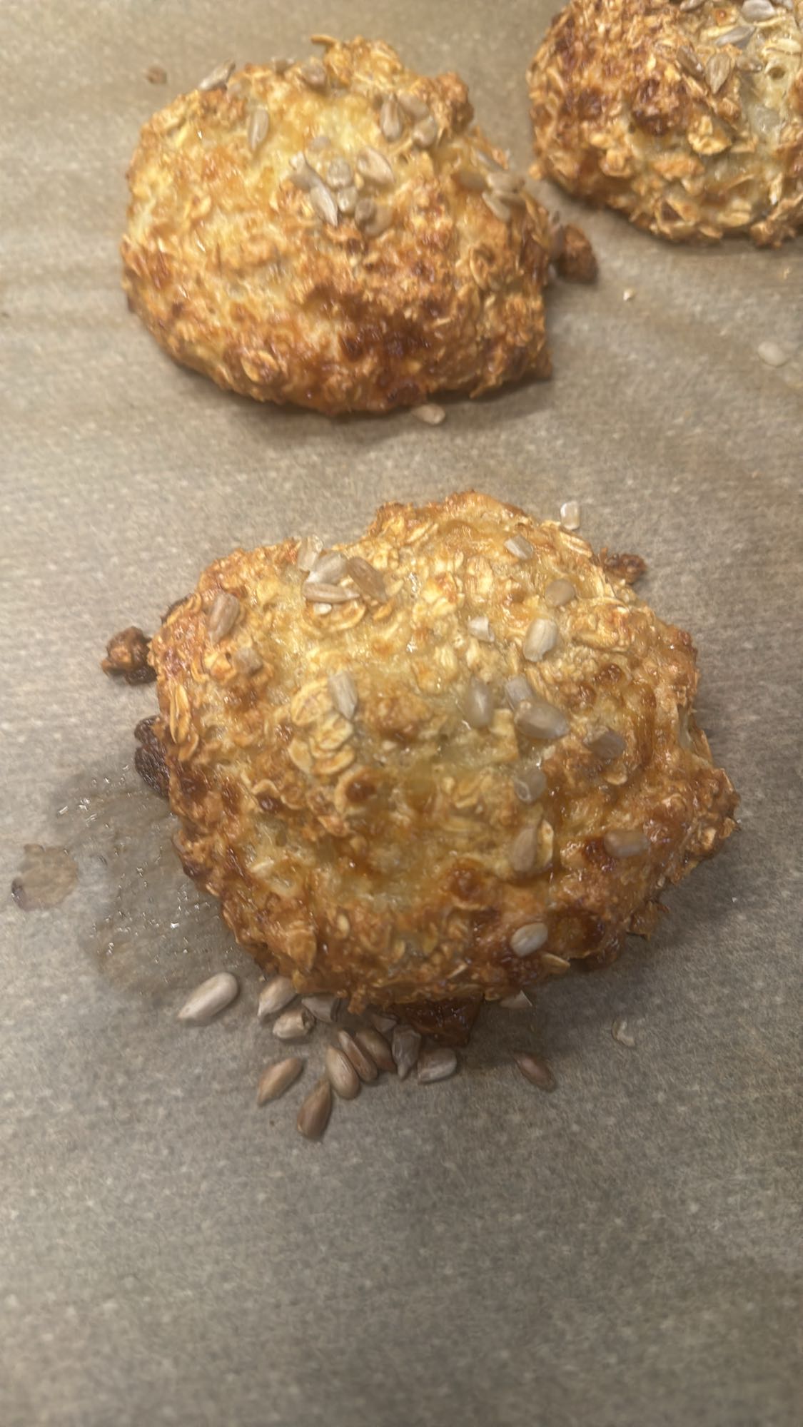 Havrekakor med frön