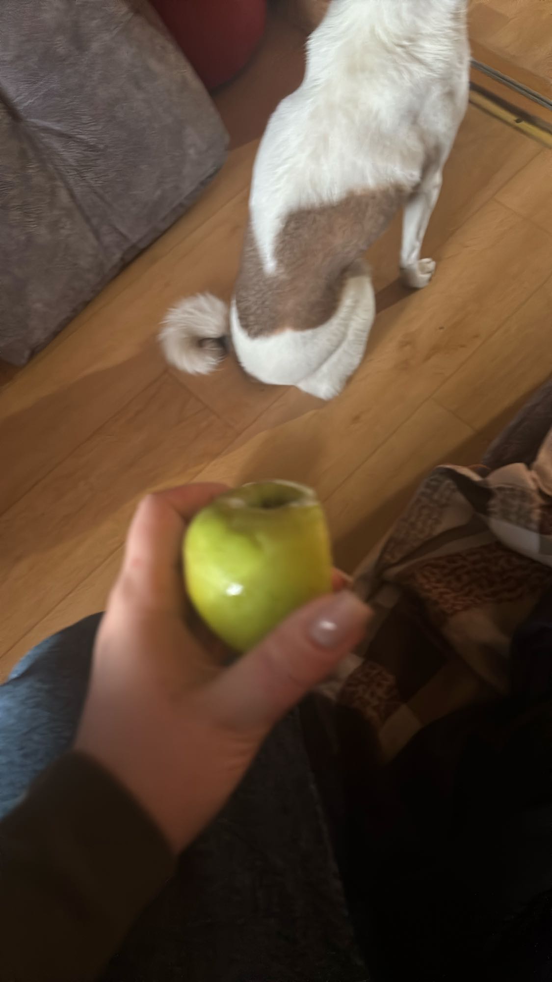 Зеленое яблоко