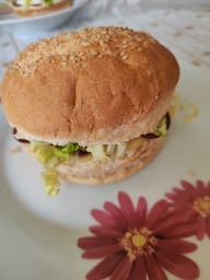 Homemade Burger