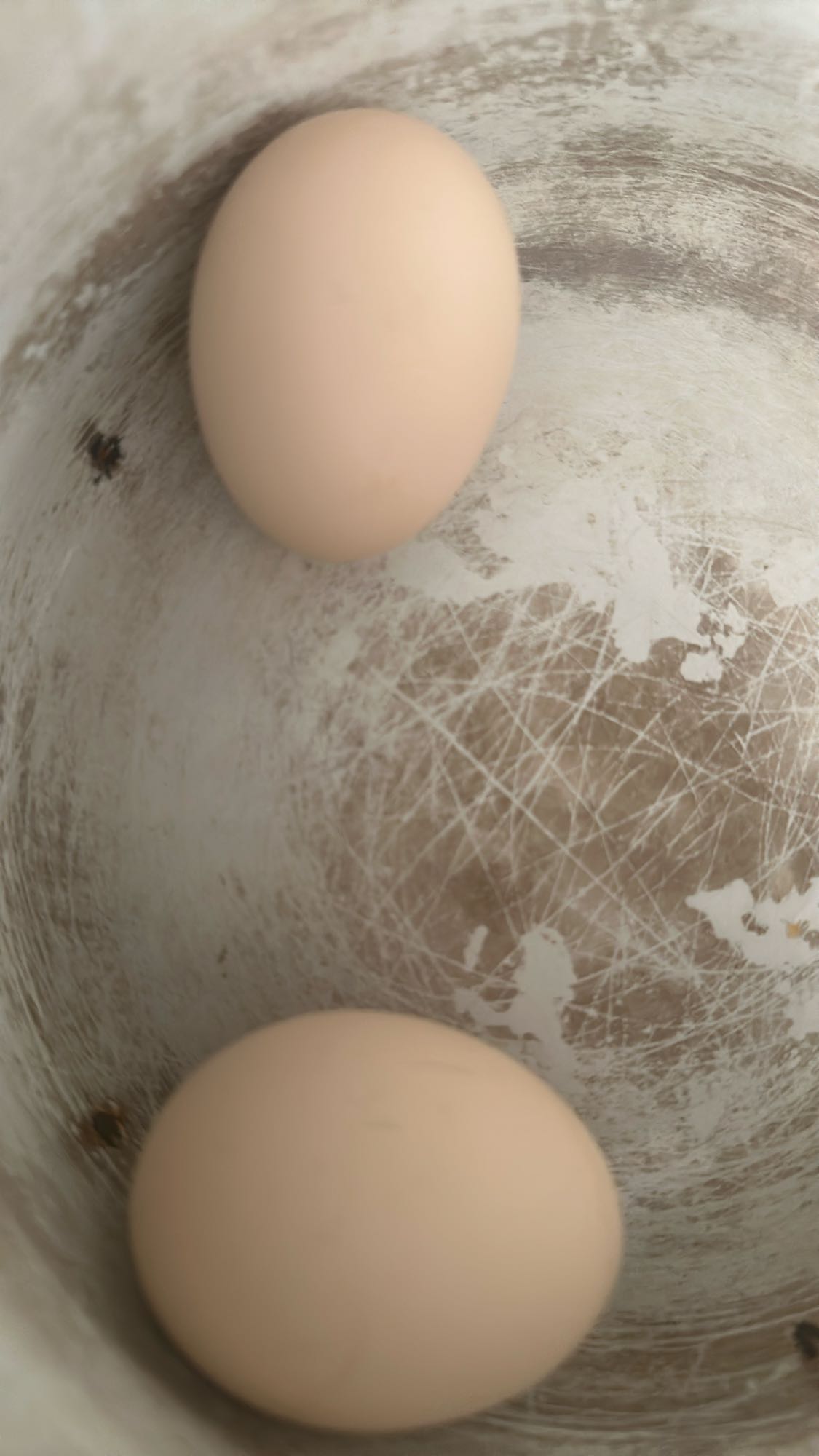 Варёные яйца