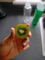 Fresh Kiwi