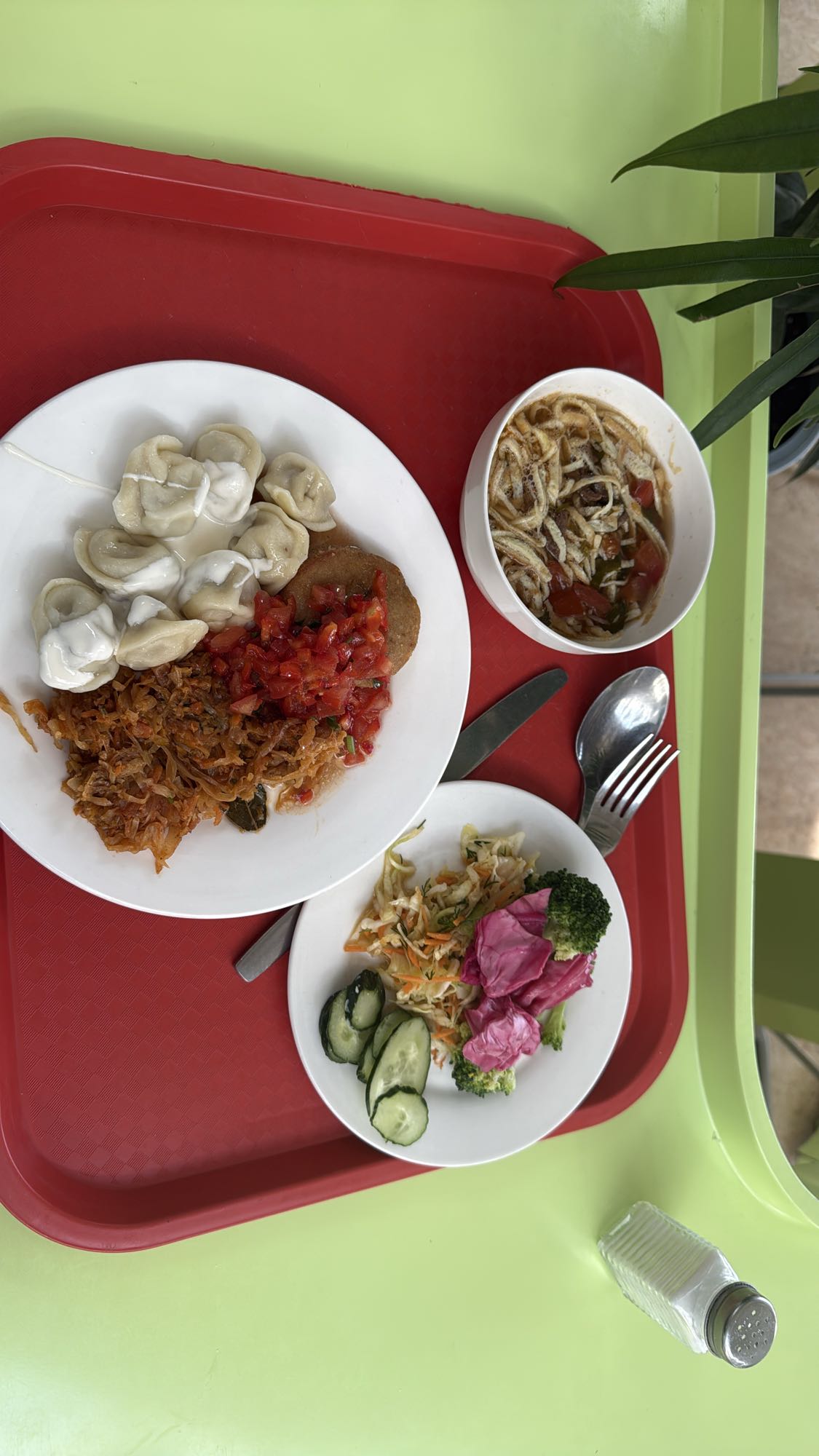 Dumplings with Salad