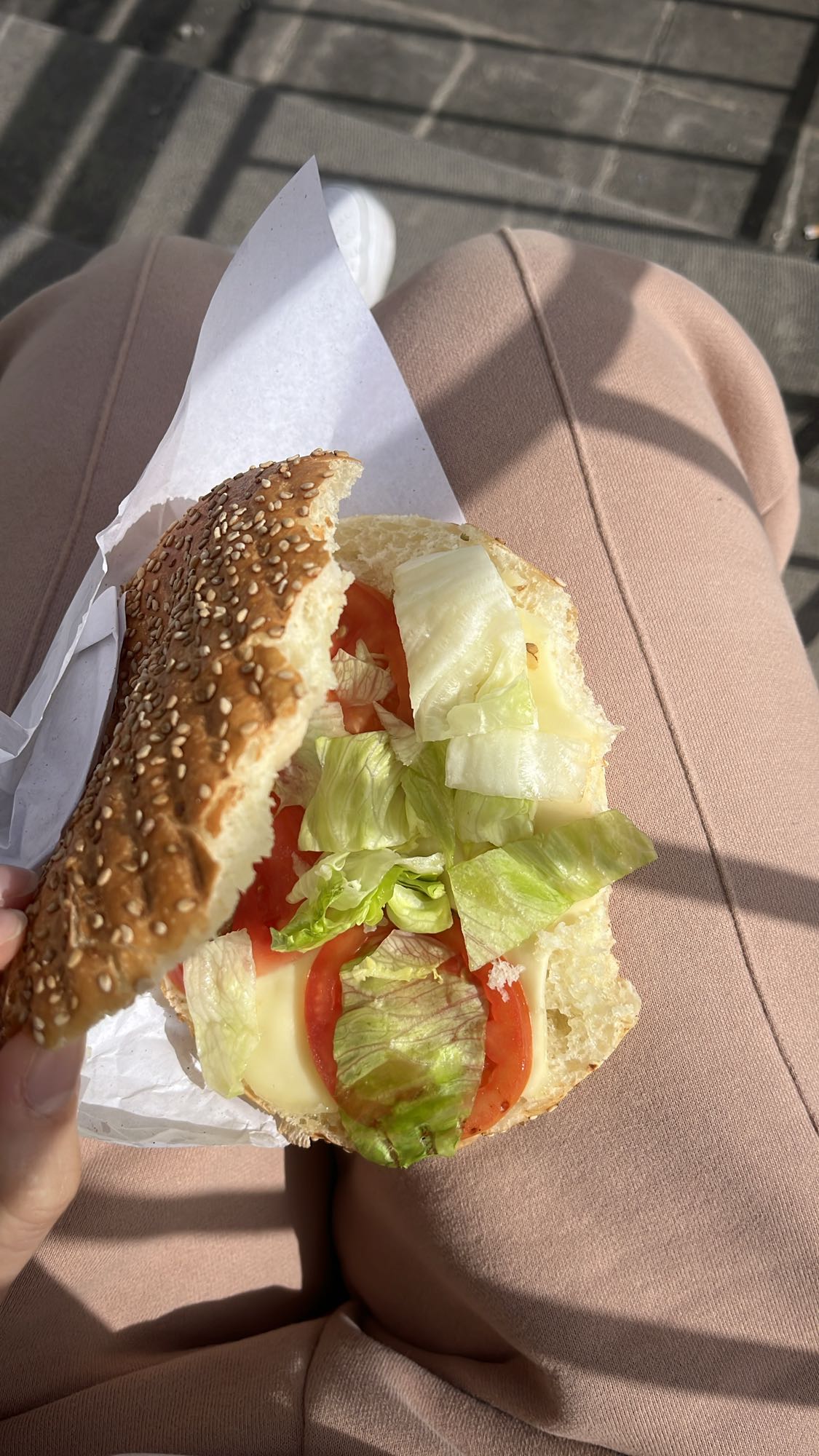 Cheese and Veggie Sandwich