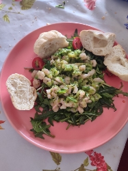 Shrimp Salad with Bread