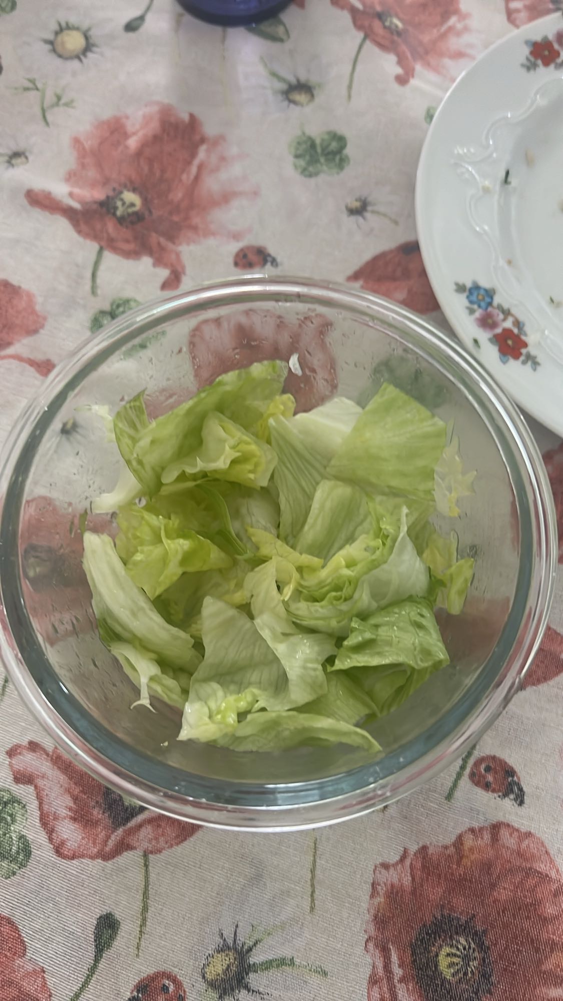 Lettuce Salad