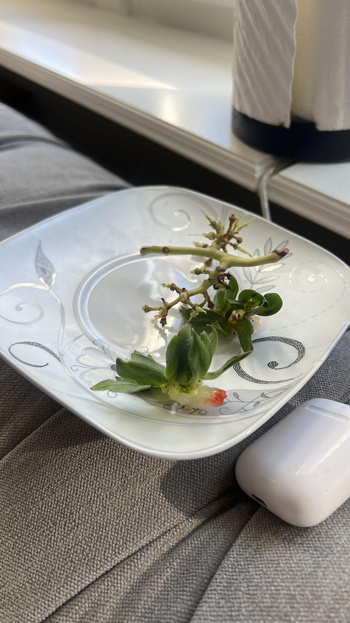 Tomma jordgubbsrester