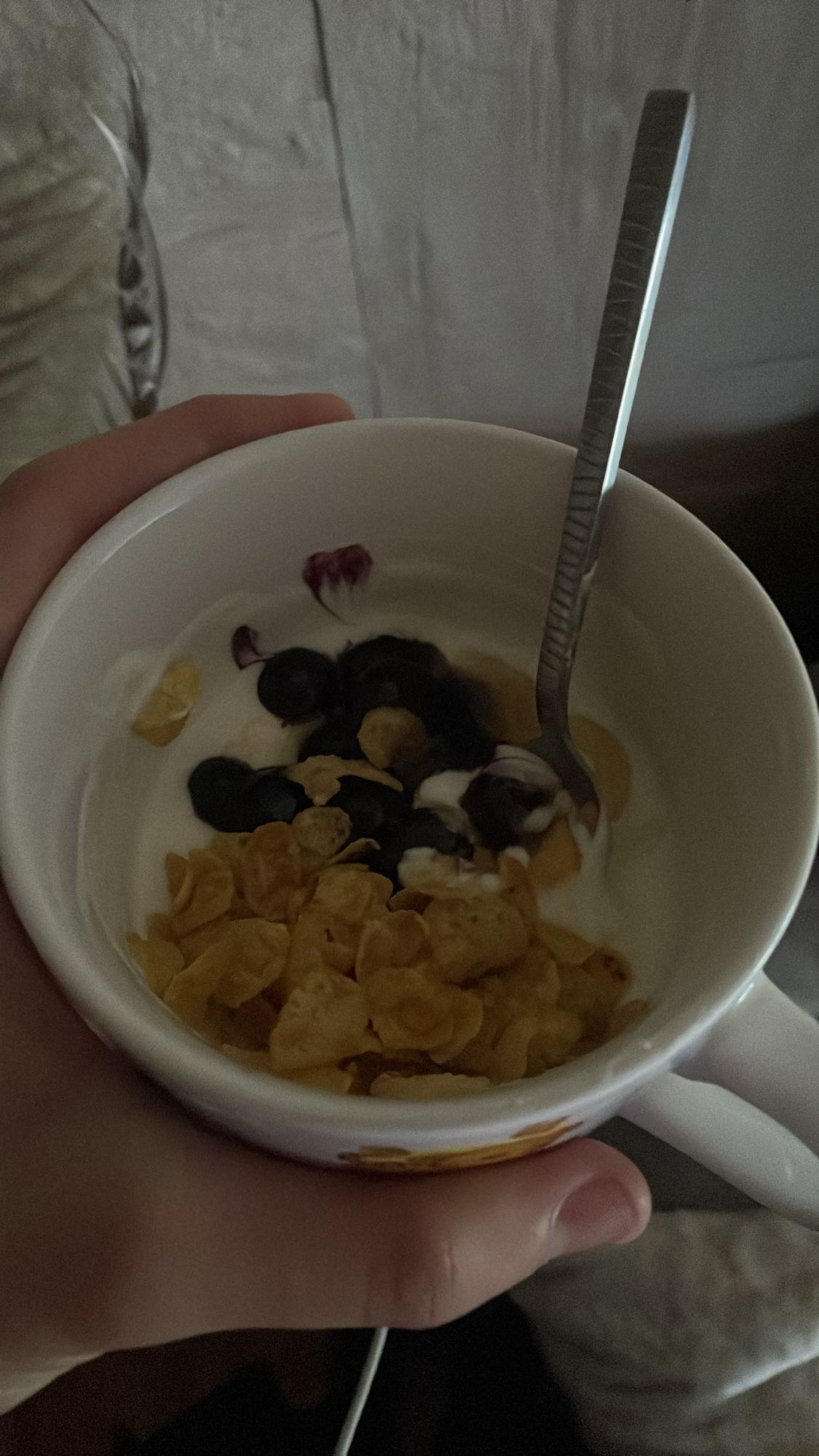 Yogur con arándanos